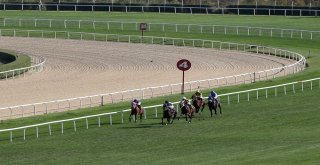 Başkanlık Koşusunda Kazanan Montana