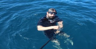 Engelli Dalış Rekortmeninden Anlamlı Dalış