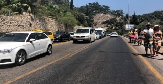 Plaja Ulaşmak İçinçin Kilometrelerce Uürüdüler