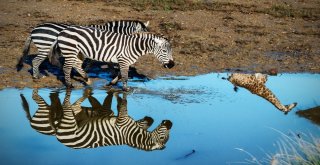 Doğal Yaşam Bayram Etti