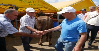 Büyükçekmecenin Modern Kurban Kesim Tesisi Bayrama Hazır