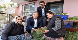 Zeytinköyde Erken Bayram