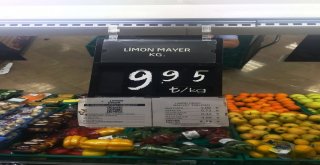 Limon Fiyatları Aldı Başını Gidiyor