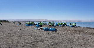 Van Gölü Sahilinde 40 Ton Çöp Toplandı