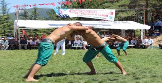 Kapaklıda Yayla Şenliği