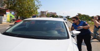 Bozyazıda Yol Kenarlarına Ekilen Yer Fıstıkları Hasat Edildi