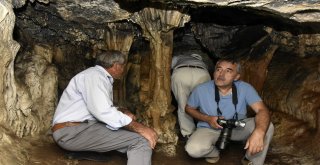 Efsaneleriyle Ünlü 40 Odalı Arılı Mağarası Turizme Açılmayı Bekliyor