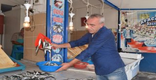 Balıkçılar Soğuk Havayı Bekliyor