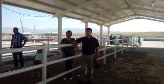 Özalplı Çiftçilere Hayvan Desteği