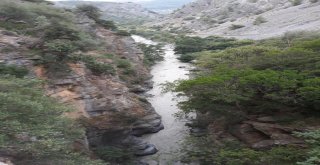 İtalyada Sel Felaketi: 11 Ölü