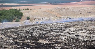 Göbeklitepe Ormanında Korkutan Yangın Kontrol Altına Alındı
