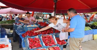 Pazarlarda Salçalık Biber Hareketliliği Başladı