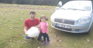 Yaylada 5 Kiloluk Dev Mantar Bulundu