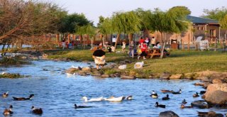 Park Ve Mesire Alanlarının Zarar Verilmemesi Uyarısı