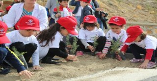 Üniversite Ve Anaokulu Öğrencileri Mesire Alanına Fidan Dikti