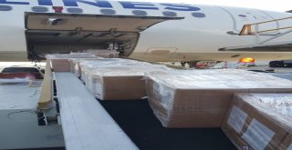 Turkish Cargo, Böğürtlen Taşıdı
