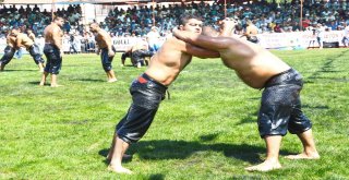 Altın Kiraz Güreşleri Başlıyor