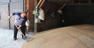 Eşini Kaybetti Mücadeleden Yılmadı Azmiyle Köylü Kadınlara Örnek Oldu