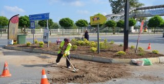 Gülüçe Bayanların Eli Değdi