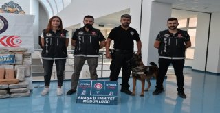 Adanada 1 Yılda Bin 113 Torbacı Tutuklandı