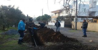 Mahalleler Maskiyle Gelişiyor