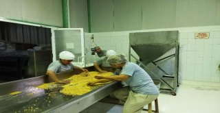 İtalyada Gördü, Türkiyede Uyguladı