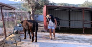 Dana Ferdinand ‘Huzur Çiftliğinde
