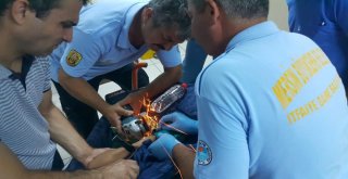 Demir Korkuluk Bileğine Saplandı