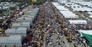 Sultangazideki Kurban Satış Ve Kesim Alanı Doldu Taştı