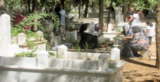 Arabanlılar Mezarlıklara Akın Etti