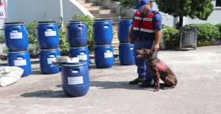 Cumhuriyet Tarihinde Bir İlk; 800 Kilogram Kokain Ele Geçirildi