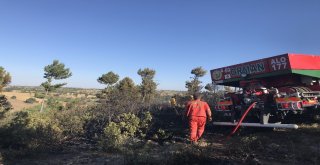 Bursada 70 Dönüm Arpa Ve Buğday Ekili Alan Yandı