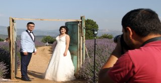 Türkiyenin Doğal Fotoğraf Stüdyosu Lavanta Tarlalarında Düğün Turizmi