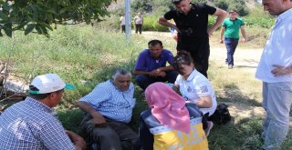 Ayağı Kayan Genç, 30 Metre Yükseklikten Kayalıklara Çakıldı