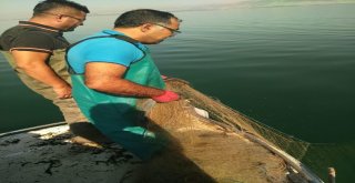 Kaçak Olarak Serilen 800 Metre Balık Ağı Ele Geçirildi