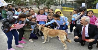 Çocuklar Can Dostlarıyla Bir Araya Geldi