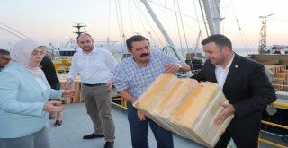 Balık Sezonun Açılmasına Saatler Kala Tüm Hazırlıklar Tamam