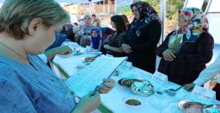 Kahramanmaraşta Kadın Girişimciler İçin Program