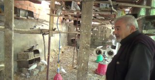 Hayatı Kuşlarla Geçiyor