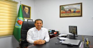 Akdeniz Meyve Sineğine Kültürel Önlem
