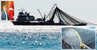 Denizlerde Avlanma Sezonu Başlıyor