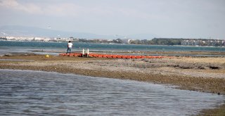 Deniz Suyu Çekildi, Vatandaşlar Deprem Sinyali Zannetti