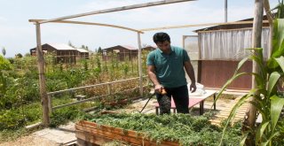 Van Gölü Kıyısındaki Hobi Bahçesinde Yılın İlk Hasadı