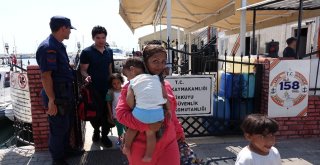 Çanakkalede 87 Mülteci Yakalandı