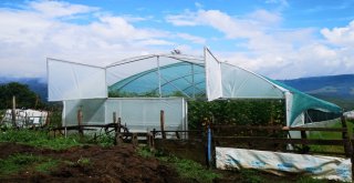 Büyükşehirden Çiftçilere Sera Desteği