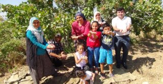 Silifkede Çilek Üreticileri Antep Fıstığına Yöneldi