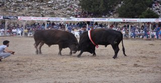 2. Karagöl Yayla Şenlikleri