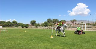 Kaçan Kurbanlıklar İçin Kurban Timi Oluşturuldu