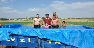 Sıcaktan Bulanan Çiftçiler Traktör Römorkunu Havuza Çevirdi