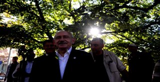 Kılıçdaroğlu, Celal Bayarın Kabrini Ziyaret Etti